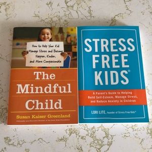 🛍️4/$20🛍️ lot of 2 parenting books | paperback